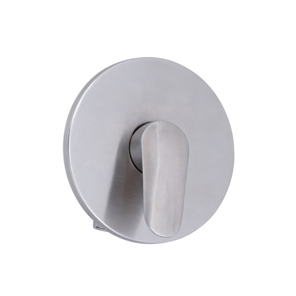 Stainless Steel In Wall Mixer